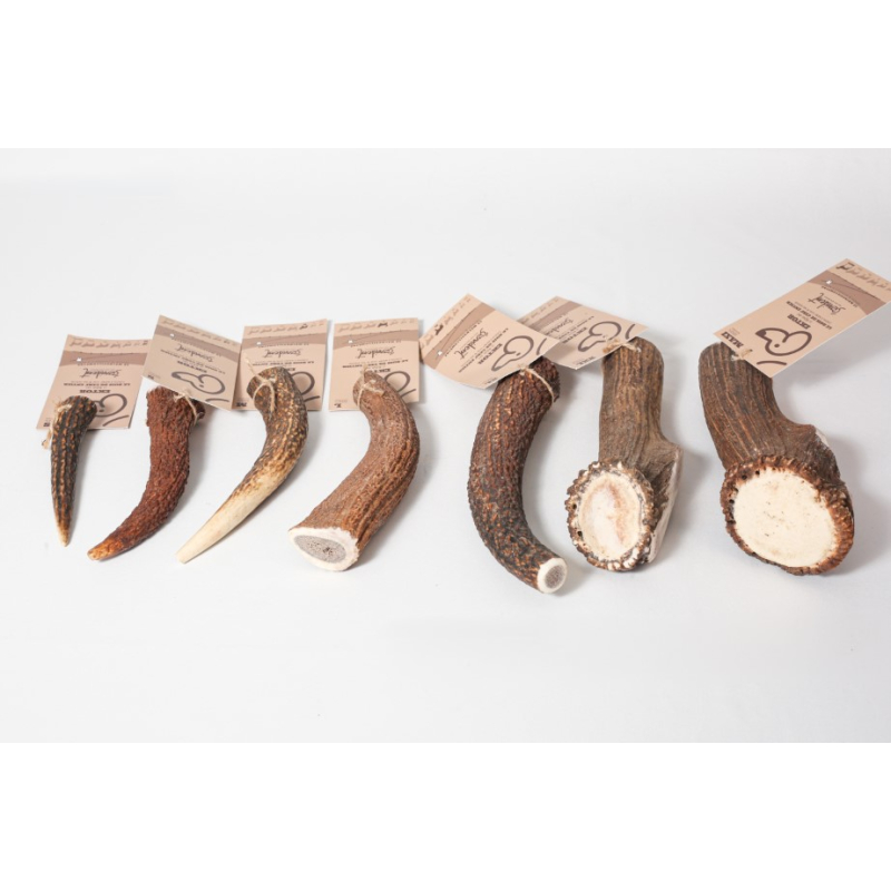 EKTOR, bois de cerf entier, gamme entière