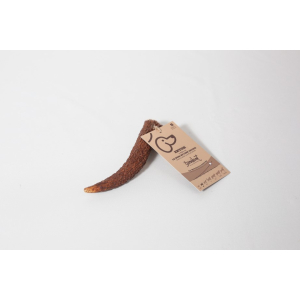 Bois de cerf entier à macher taille S