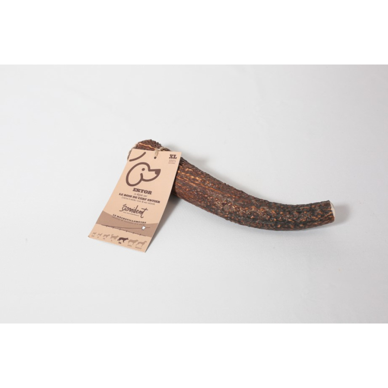Bois de cerf entier à macher taille XL