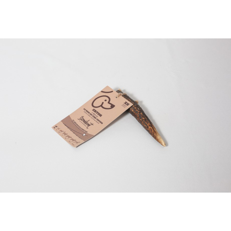 Bois de cerf entier à macher taille XS