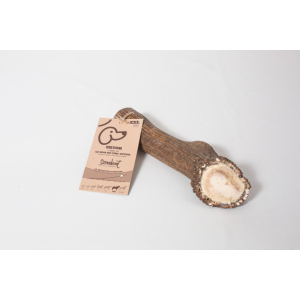 Bois de cerf entier à macher taille XXL