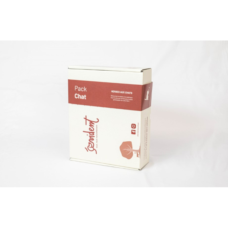 Pack herbes aux chats
