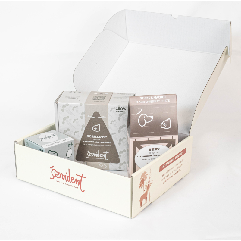 Pack, suzy, scarlett, oeggy