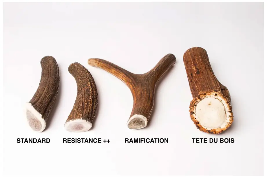 Option de bois de cerf