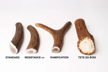 Option de bois de cerf