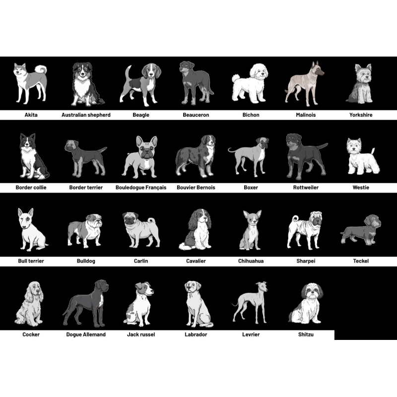 Race de chien pour médaille