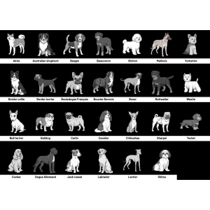 Race de chien pour médaille