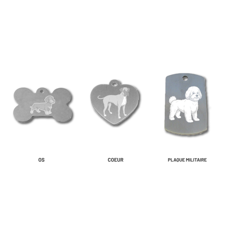 Formes de médailles