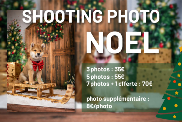 21/12/2024 - 🎄 Shooting Photo de Noël 🎄