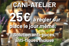 22/03/2025 - CANI-ATELIER : Remèdes naturels anti-puces et anti-tiques à connaître et à utiliser !