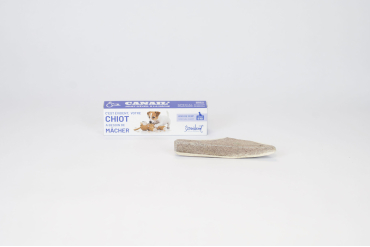 copy of BENJI - Deer antler special for puppy