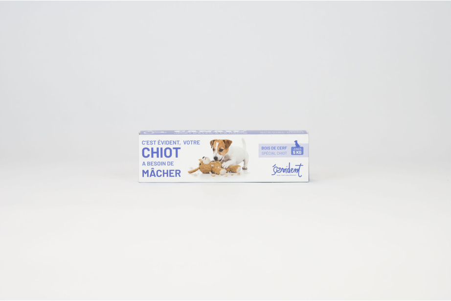 copy of BENJI - Deer antler special for puppy