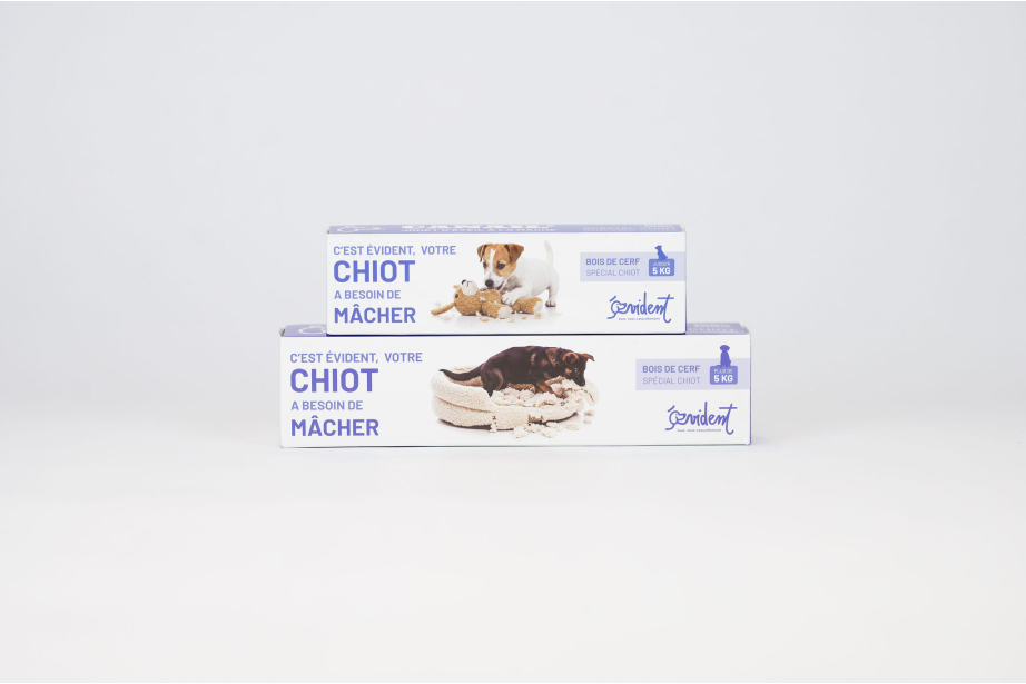 copy of BENJI - Deer antler special for puppy