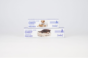 copy of BENJI - Deer antler special for puppy