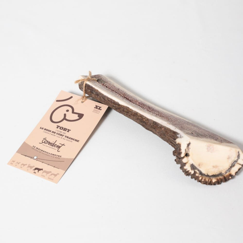 Bois de cerf tranché pour les chien les moins perseévérants