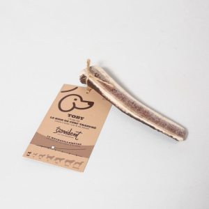 Le bois de cerf tranché detartre les dents de devant