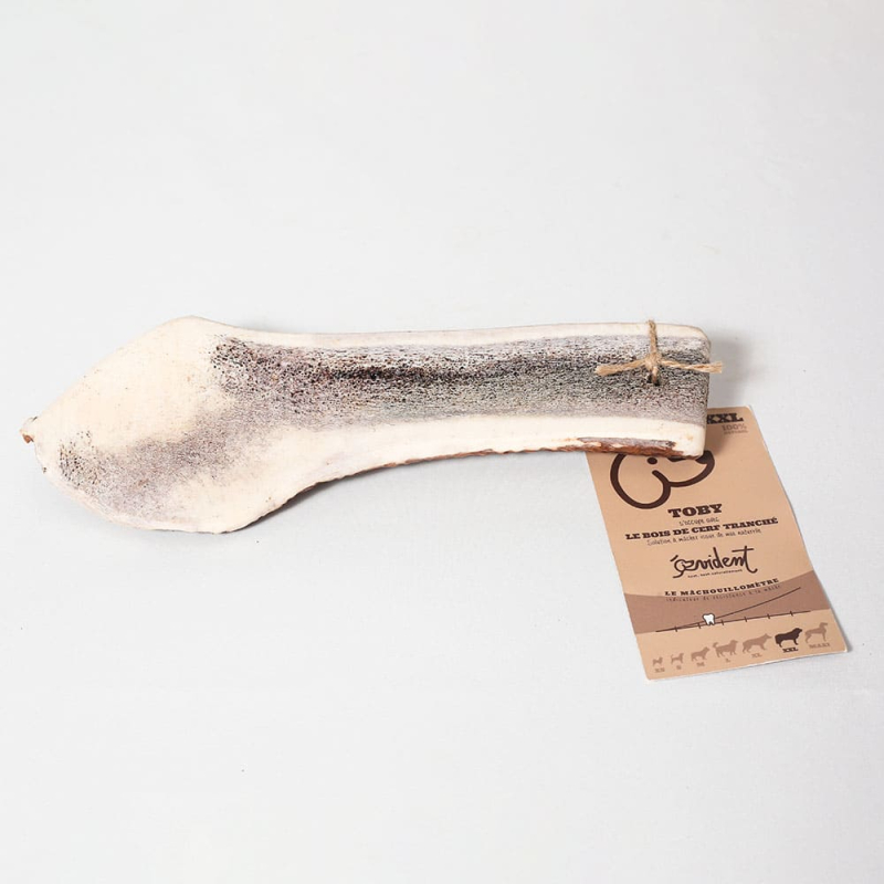 Bois de cerf tranché disponible de la Taille XS à Maxi
