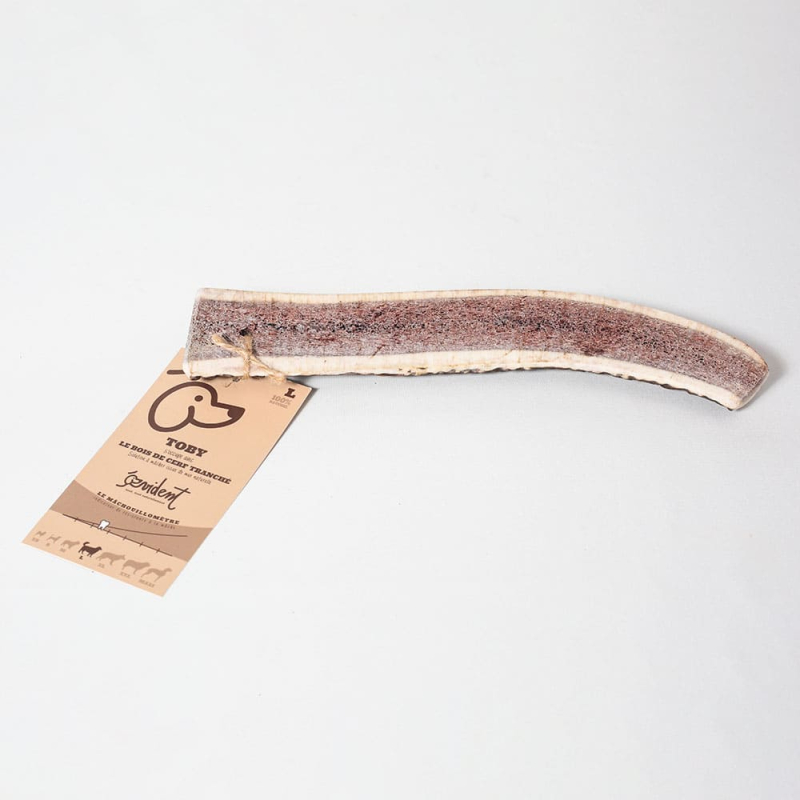 Le bois de cerf détartre naturellement les dents du chien tout en l'occupant durablement !