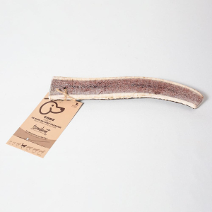 Le bois de cerf détartre naturellement les dents du chien tout en l'occupant durablement !