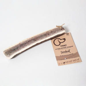 Le bois de cerf maintient une bonne hygiène bucco-dentaire.