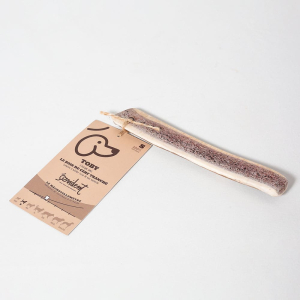 Bois de cerf tranché