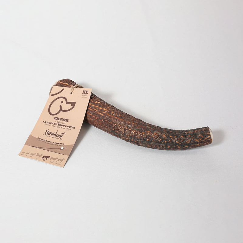 Le bois de cerf entier est recommandé pour les chiens qui adorent mâcher.