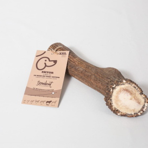 Le bois de cerf aide à la santé bucco-dentaire de votre chien et détartrant ses dents.