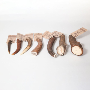 Évite à votre chien de faire des dégâts chez vous.