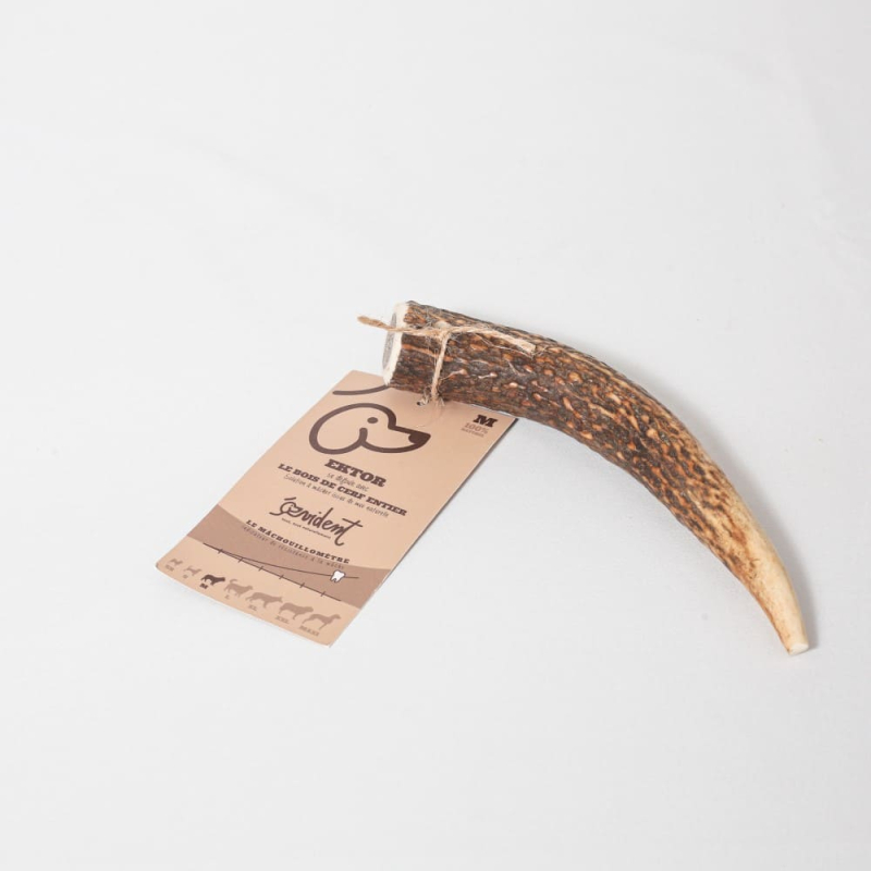 Le bois de cerf entier est une excellente source de minéraux naturels tels que le calcium et le phosphore.