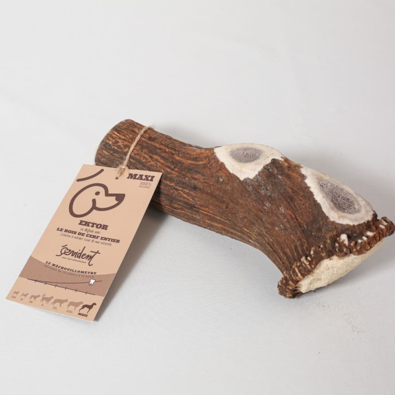 Bois de cerf longue mastication longue