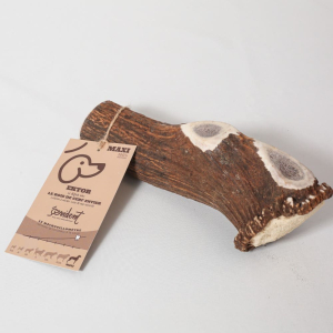 Bois de cerf longue mastication longue