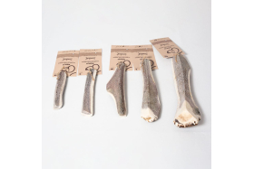 BENJI - Bois de cerf biseau