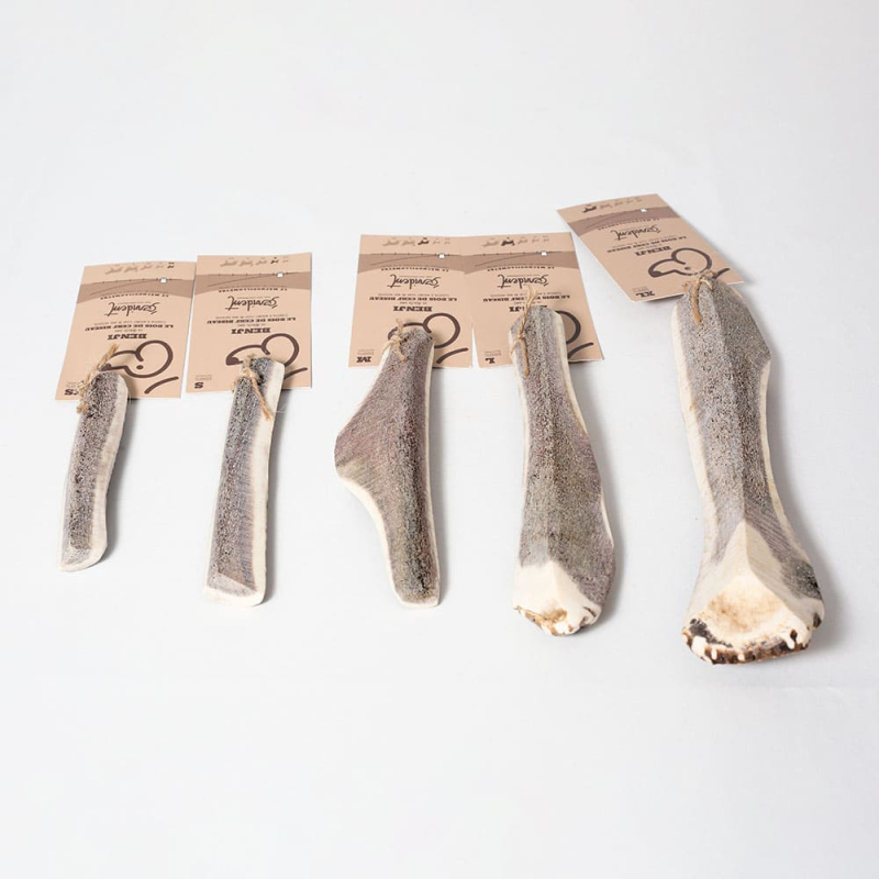 Gamme bois de cerf biseauté