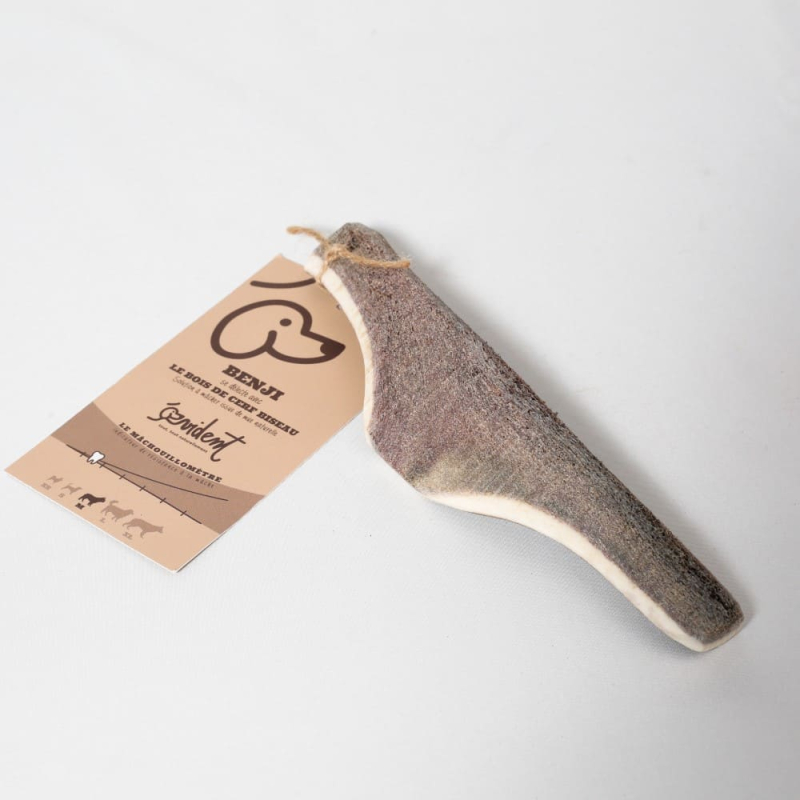 Idéal pour les chiots ou les chiens seniors