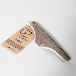 Idéal pour les chiots ou les chiens seniors