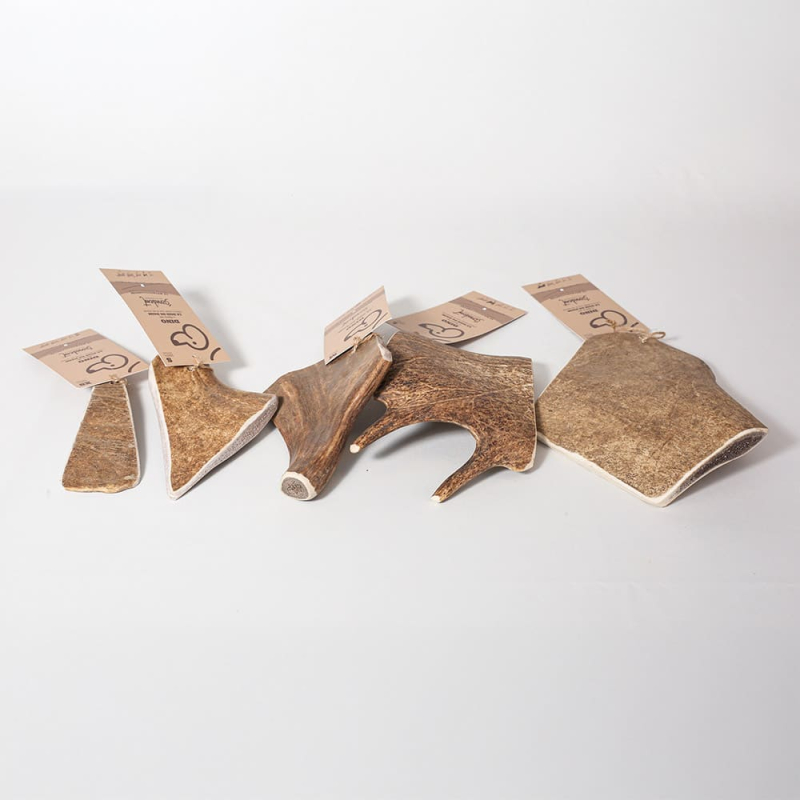 bois de daim 5 tailles disponibles