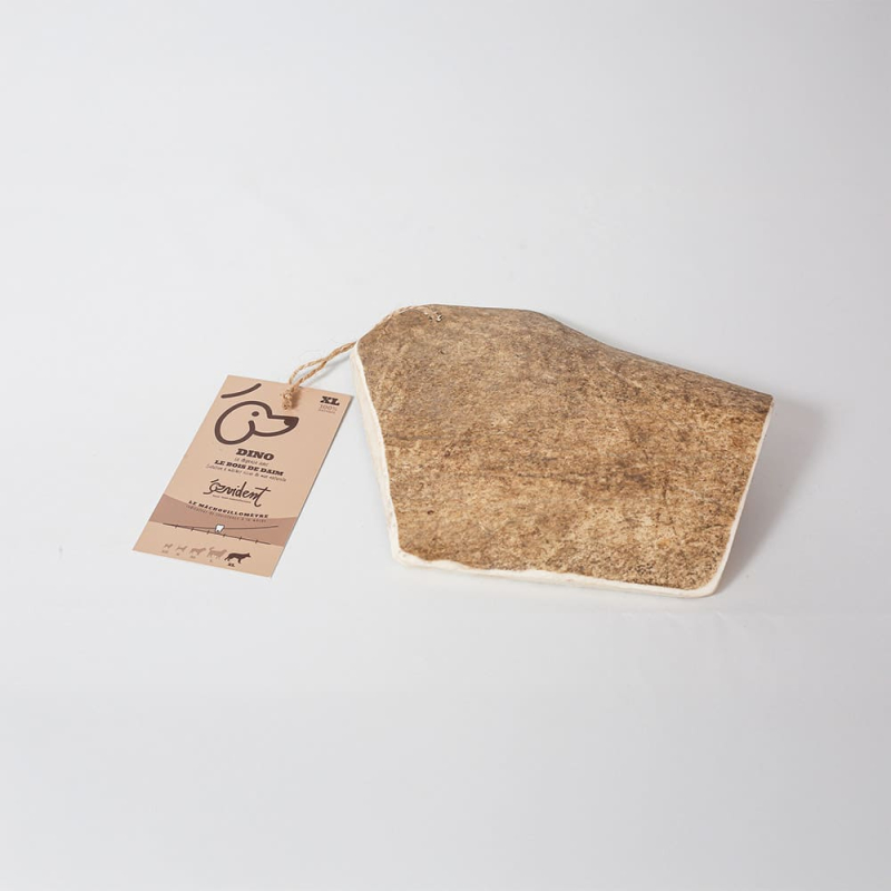 Le bois de daim nettoie naturellement les dents du chien