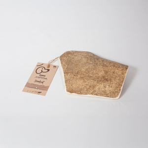 Le bois de daim nettoie naturellement les dents du chien