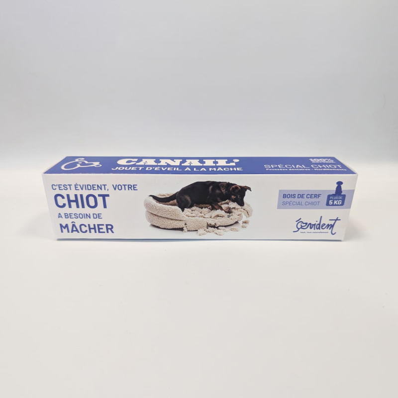 Bois de cerf biseau spécial chiot.