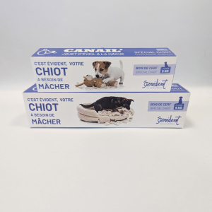 copy of BENJI - Deer antler special for puppy