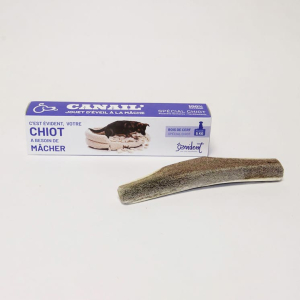 copy of BENJI - Deer antler special for puppy