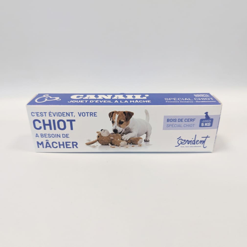 Le bois de cerf biseau soulage les douleurs dentaires chez le chiots