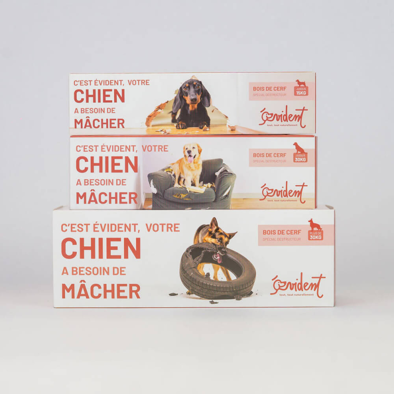 Offrez à votre chien une mastication longue à toute épreuve