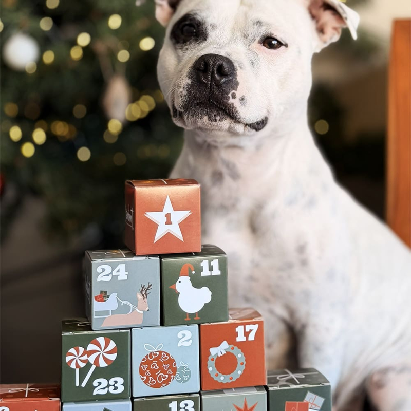 Le calendrier de l’Avent chien - Friandises naturelles