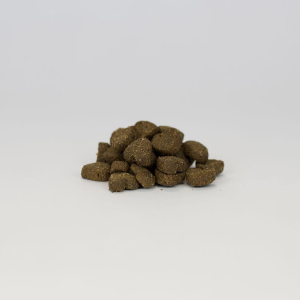 Friandises pour chien bucco-dentaire pour chien