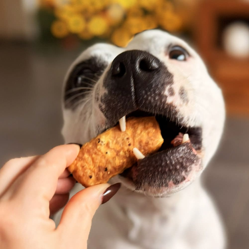 Maxi pops au fromage fumé saveur jambon