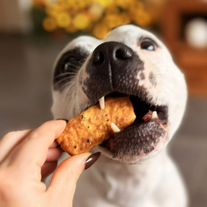 Maxi pops au fromage fumé saveur jambon