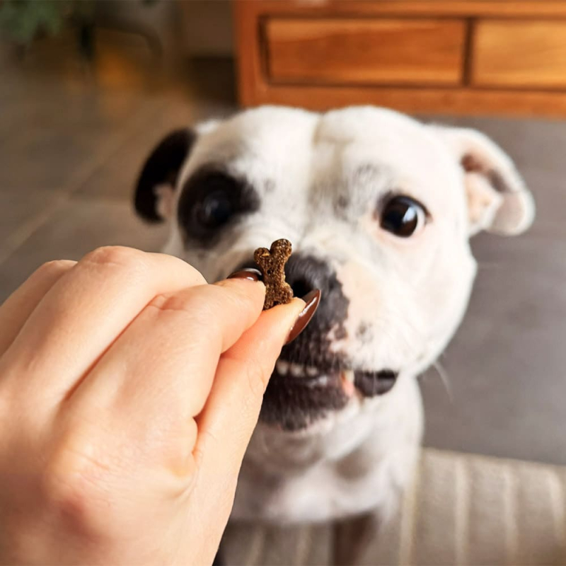 Friandises 100% naturelles qui favorisent la détente et le bien-être de votre chien