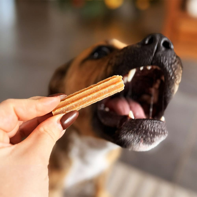 friandises naturelle contre le tartre