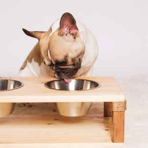 La poudre de bois de cerf renforce les os et articulations de votre chien.